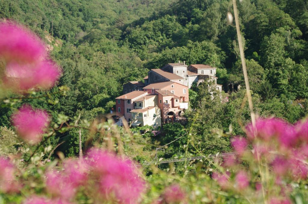 Hotel Serenella Лидо ди Йезоло Екстериор снимка